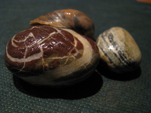 395773 (a): :1600x1200